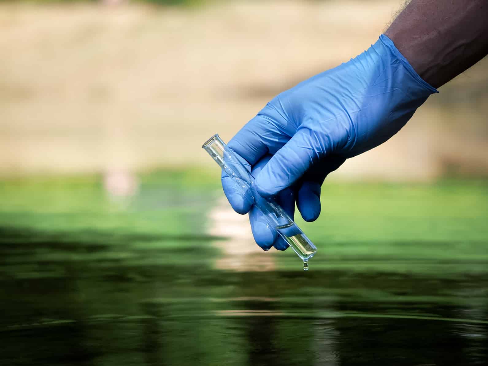 Tipps für klares Teichwasser